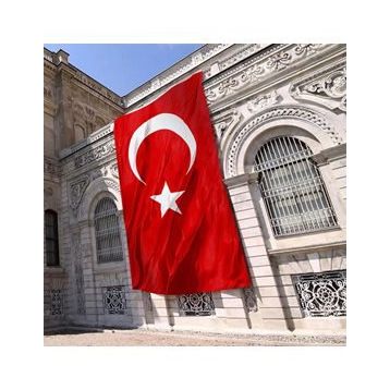 Vatan 500x750 Polyester Bayrak