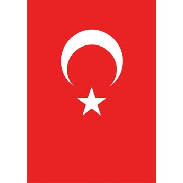 Vatan 50x75 cm Bayrak