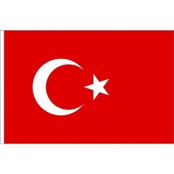 Vatan 600x900 Bayrak