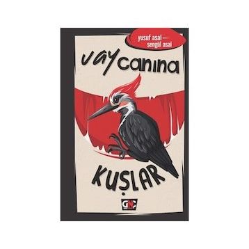 Vay Canına Kuşlar - Yusuf Asal