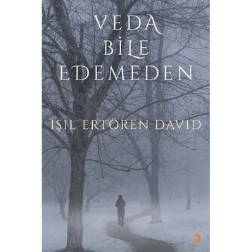 Veda Bile Edemeden - Işıl Ertören David