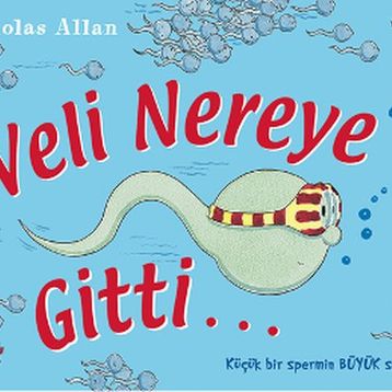 Veli Nereye Gitti - Nicholas Allan