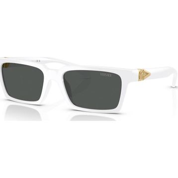 Versace VE4490U 314/87 55 Erkek Güneş Gözlüğü