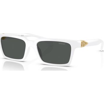 Versace VE4490U 314/87 55 Erkek Güneş Gözlüğü