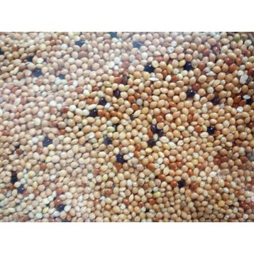 Versele Laga Colombine Pickstone Red 600 gr Güvercinler İçin Mineral Desteği