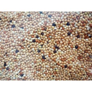 Versele Laga Colombine Pickstone Red 600 gr Güvercinler İçin Mineral Desteği