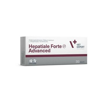 Vetexpert Hepatiale Forte Advanced 30 Kapsül Tablet