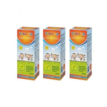 Viador Hindiba Ekstresi Manganez 150 ml Şurup