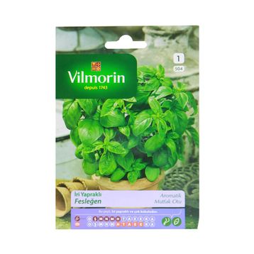 Vilmorin 504 İri Yapraklı Fesleğen Seri-1 Tohumu