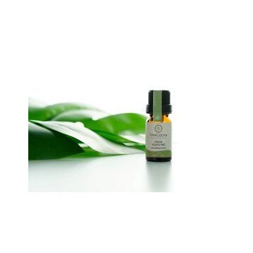 Vinacocha 10 ml Focus Uçucu Yağ Karışımı