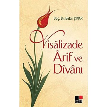 Visalizade Arif ve Divanı - Bekir Çınar