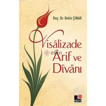 Visalizade Arif ve Divanı - Bekir Çınar