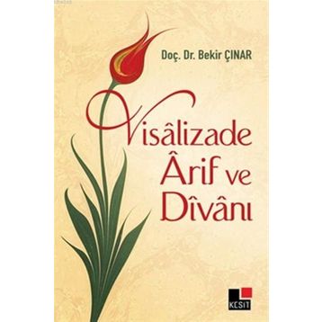 Visalizade Arif ve Divanı - Bekir Çınar