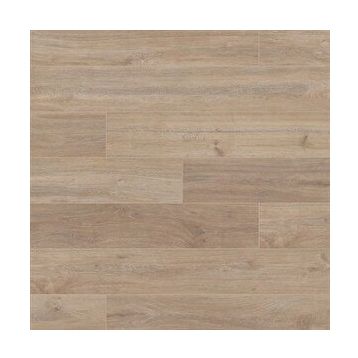 Vitale VTLP.5966 1 m2 Modera Sarı Kavak 8 mm Derzli Laminat Parke
