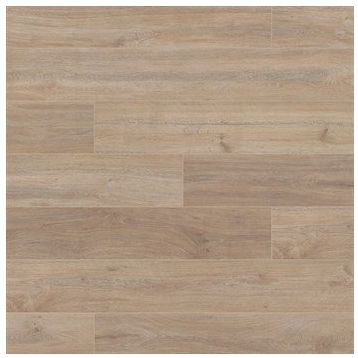 Vitale VTLP.5966 1 m2 Modera Sarı Kavak 8 mm Derzli Laminat Parke