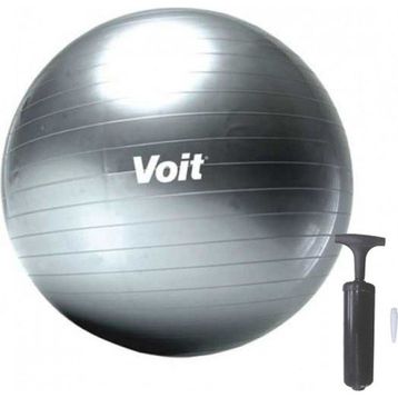 Voit 65 Cm Gri Gymball