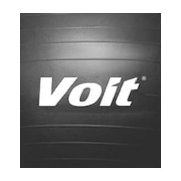 Voit 65 Cm Gri Gymball