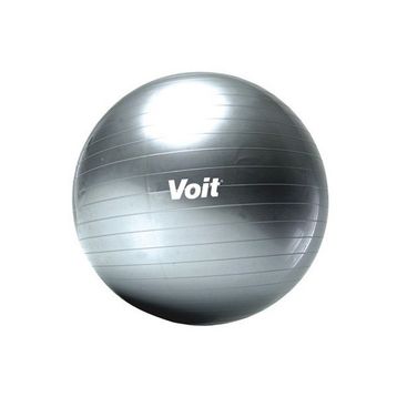 Voit 65 Cm Gri Gymball