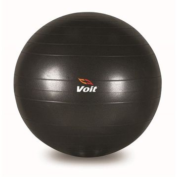 Voit 65 Cm Gri Gymball