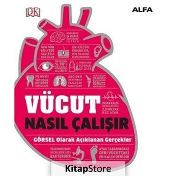 Vücut Nasıl Çalışır? - Alfa Yayıncılık
