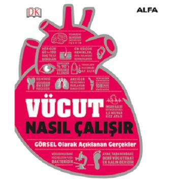 Vücut Nasıl Çalışır? - Alfa Yayıncılık