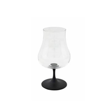 Wanelli WN1170 6'lı 220 ml Ballet Siyah Kahve Su Bardak