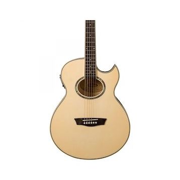 Washburn EA20 Elektro Akustik Gitar