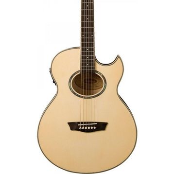 Washburn EA20 Elektro Akustik Gitar