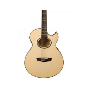 Washburn EA20 Elektro Akustik Gitar