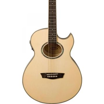 Washburn EA20 Elektro Akustik Gitar