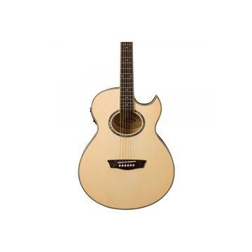 Washburn EA20 Elektro Akustik Gitar