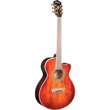 Washburn EA55G Festival Elektro Akustik Gitar