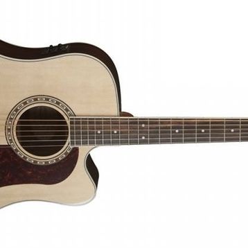 Washburn HD20SCE Heritage Elektro Akustik Gitar