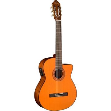 Washburn WA90CRDB Akustik Gitar