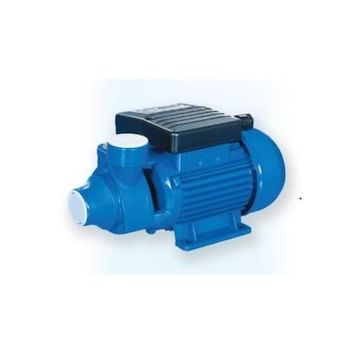 Water WS-02 Sürtme Fanlı Pompa