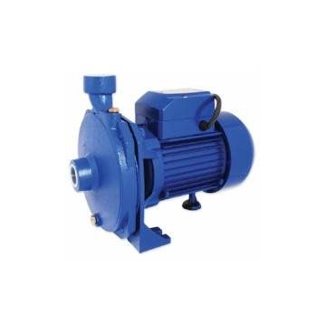 Water WS-06 Tek Kademeli Santrifüj Pompa