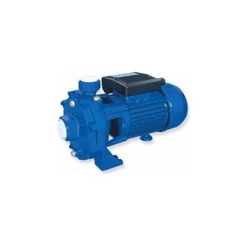 Water WS-29 Krom Milli Çift Kademeli Pompa