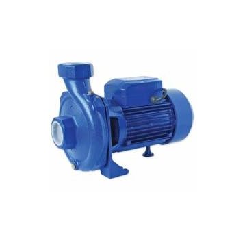 Water WS-39 Tek Kademeli Santrifüj Pompa