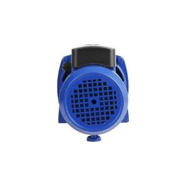 Water WS-43 Jet 100L Döküm Gövdeli Pompa