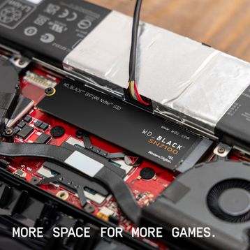 WD WDS100T4X0E Black SN7100 1 TB 7250/6900 MB/s M.2 2280 PCIe 4.0 NVMe SSD