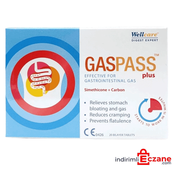 Wellcare Gaspass Plus Simethicone Carbon 20 Tablet
