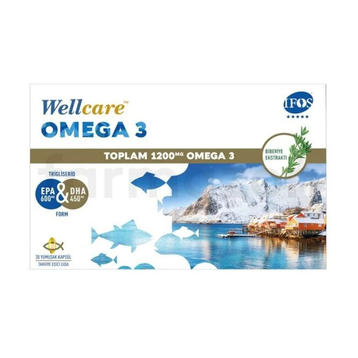 Wellcare Omega 3 1200 mg 2x30 Kapsül Balık Yağı