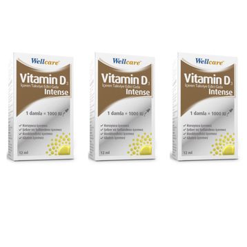 Wellcare Vitamin D3 Intense 12 ml Damla