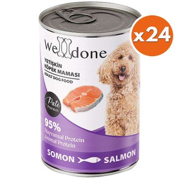 Welldone Somonlu Pate 24x415 gr Yetişkin Köpek Konservesi