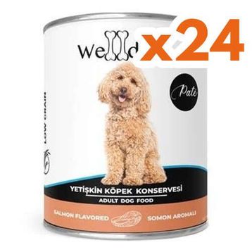 Welldone Somonlu Pate 24x415 gr Yetişkin Köpek Konservesi