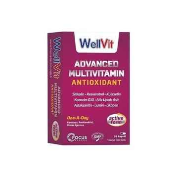 Wellvit Advanced Multivitamin Antioxidant 30 Kapsül