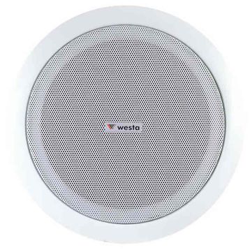 Westa WS-2035T 20 cm 8 INCH 30 W Alçıpan Trafolu Hoparlör