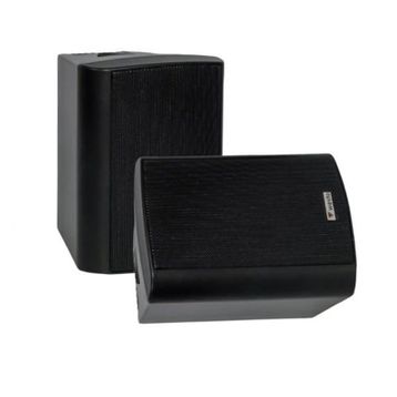 Westa WS-5TB Duvar Hoparlörü