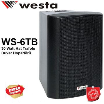 Westa WS-6TB Duvar Tipi Hoparlör