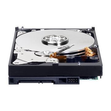 Western Digital WD5000AAKB Harddisk